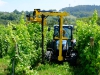 Trimmer for vineyard model model 220T at work